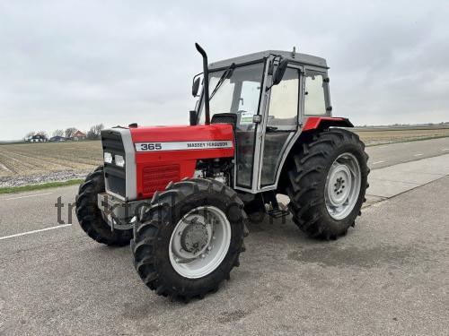 Massey Ferguson 365 tekniske specifikationer og anmeldelser